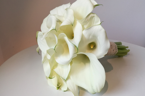 Atelier Miss Daisy 06_