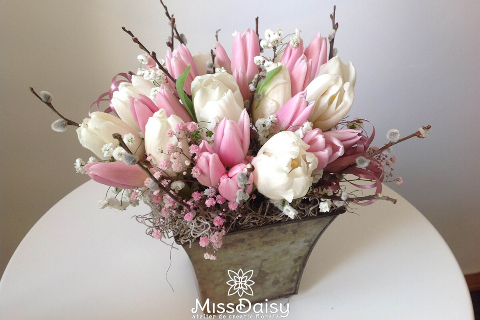 Atelier Miss Daisy 11_