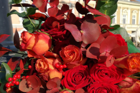 Atelier Miss Daisy 14_