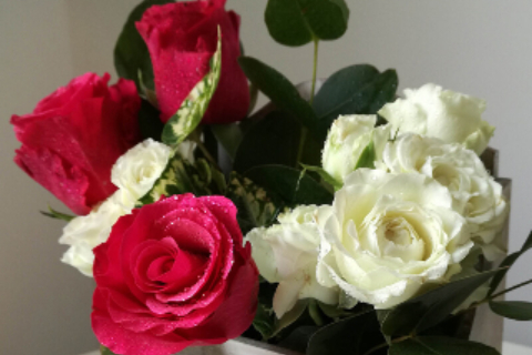 Atelier Miss Daisy 20_