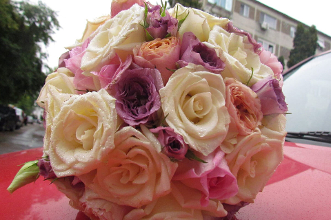 Beauty DECOR Timisoara 20_