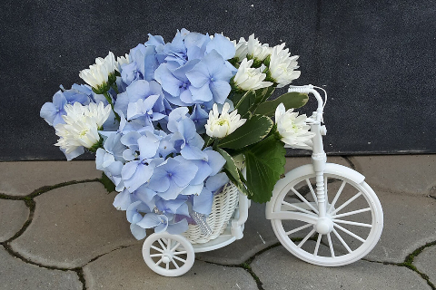 Beauty DECOR Timisoara 37_