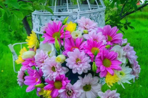 Beauty DECOR Timisoara 42_