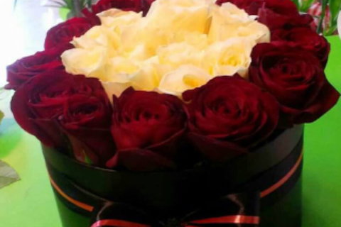 Floraria Crina 02_