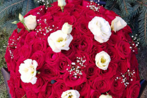 Floraria Crina 28_