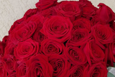 Floraria Crina 30_