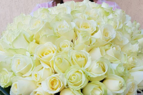 Floraria Crina 35_