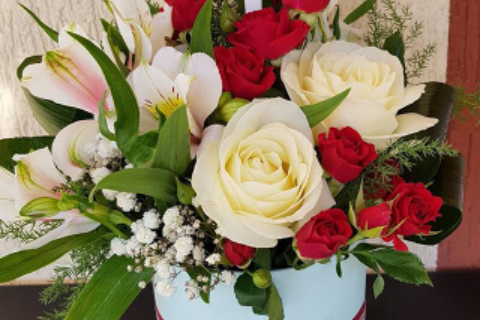 Floraria Crina 37_