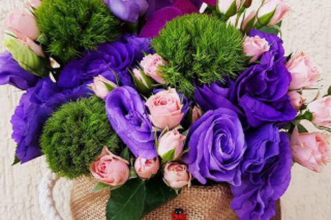 Floraria Crina 40_