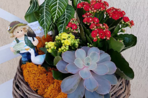 Floraria Crina 43_