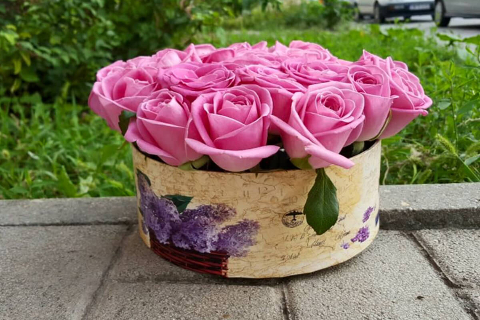 Floraria Crina 45_