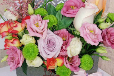 Floraria Crina 50_