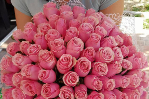 Floraria Crina 52_