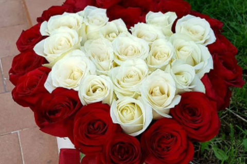 Floraria Crina 53_
