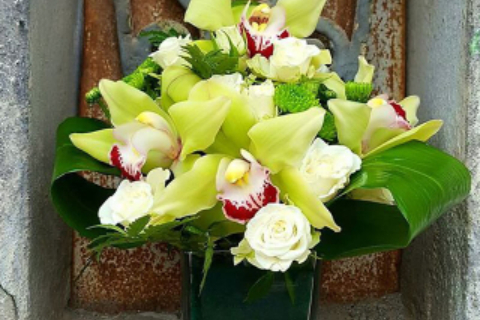 Floraria Crina 54_