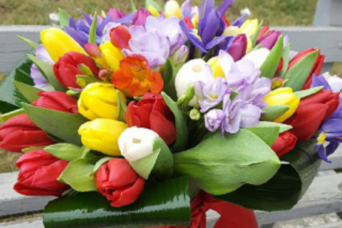 Floraria Crina 55_