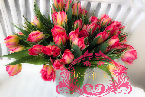Iulia’s flower shop 18_