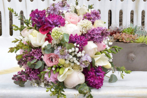 Iulia’s flower shop 25_