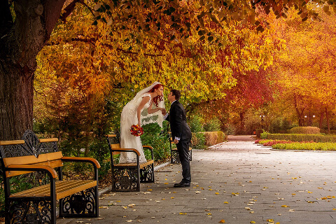 Fantasy Foto Video 01_