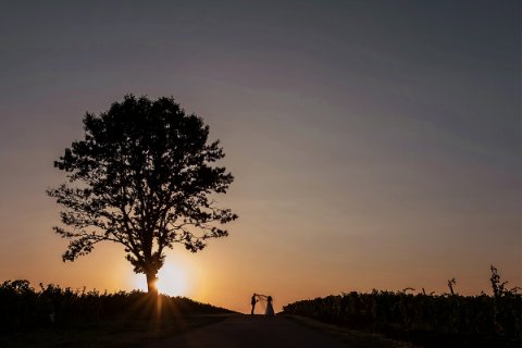 Marius Andron Photography 98_