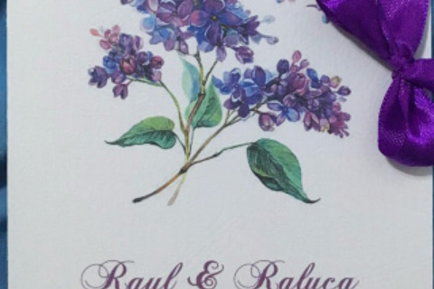 R&R Pure Design 04_