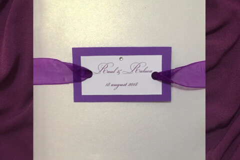 R&R Pure Design 28_