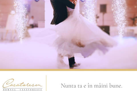 Domnul Casatorescu 04_
