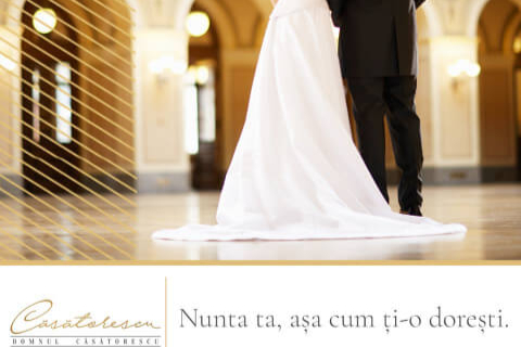 Domnul Casatorescu 19_