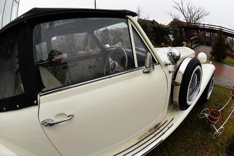 Amedeo Vintage Car 07_