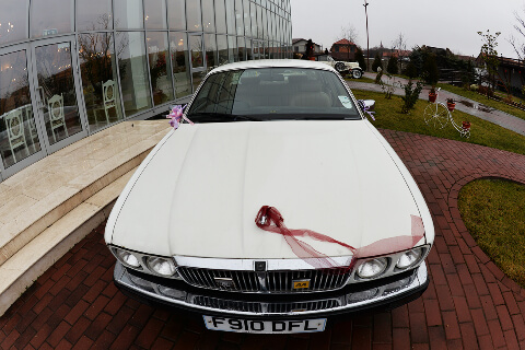 Amedeo Vintage Car 09_
