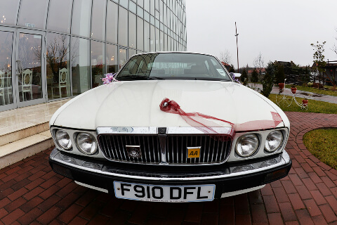 Amedeo Vintage Car 10_