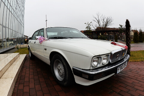 Amedeo Vintage Car 12_