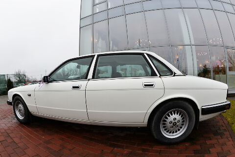 Amedeo Vintage Car 14_